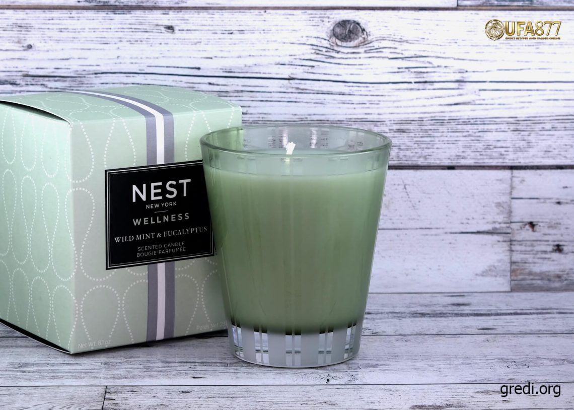 Wild Mint & Eucalyptus Candle & Reed Diffuser